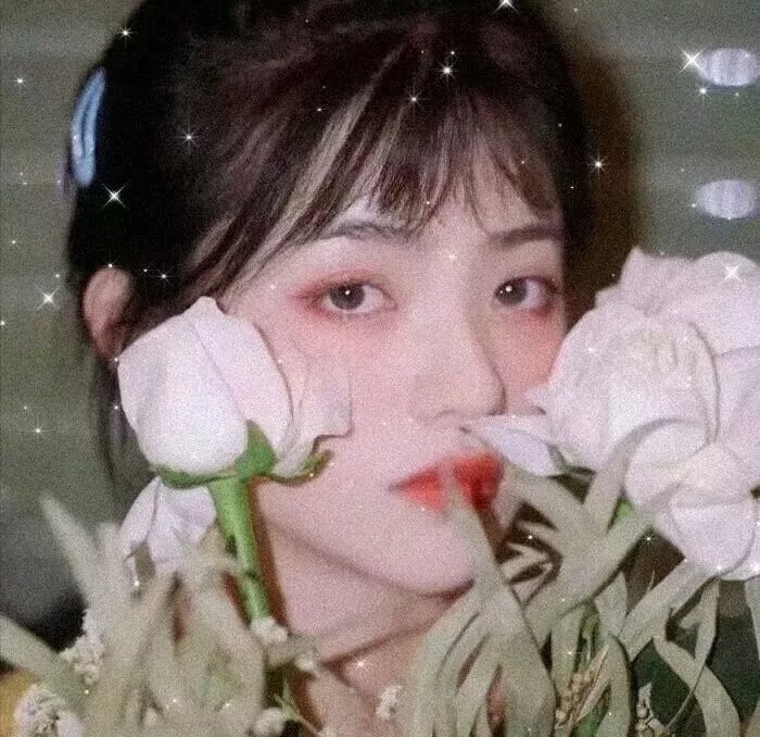 沧月绘